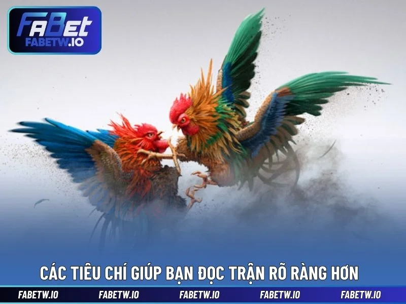 Các tiêu chí giúp bạn đọc trận rõ ràng hơn