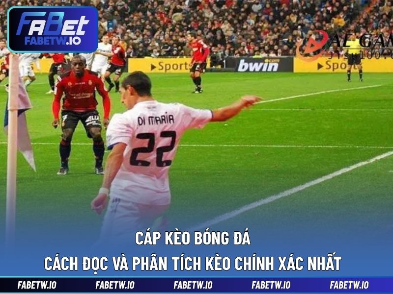 Cáp kèo bóng đá - Cách đọc và phân tích kèo chính xác nhất