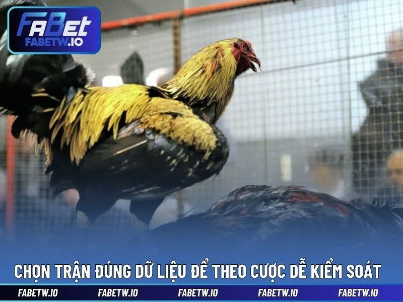 Chọn trận đúng dữ liệu để theo cược dễ kiểm soát