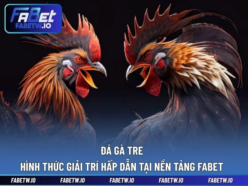 Đá Gà Tre - Hình Thức Giải Trí Hấp Dẫn Tại Nền Tảng FABET