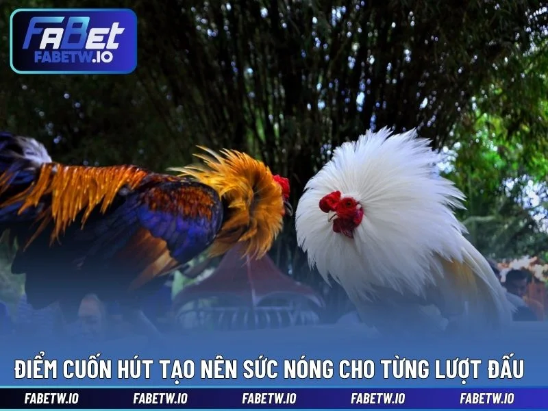 Điểm cuốn hút tạo nên sức nóng cho từng lượt đấu