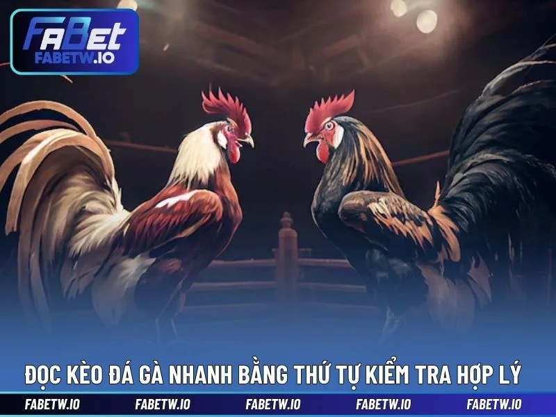 Đọc kèo đá gà nhanh bằng thứ tự kiểm tra hợp lý