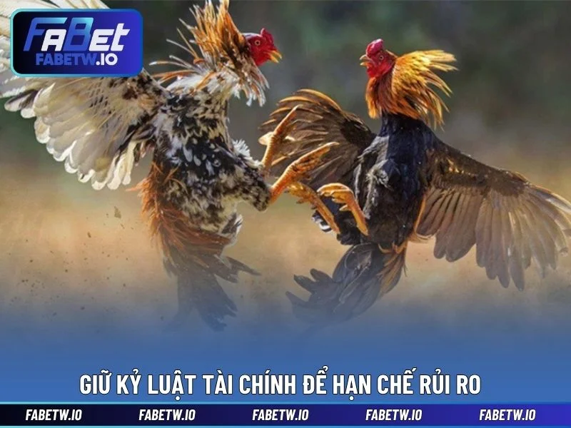 Giữ kỷ luật tài chính để hạn chế rủi ro