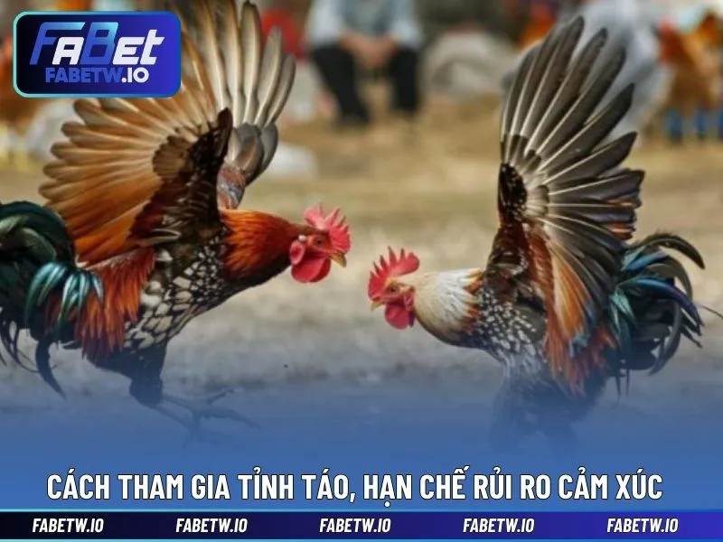 Gợi ý cách tham gia tỉnh táo, hạn chế rủi ro cảm xúc