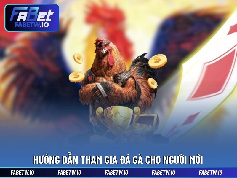 Hướng dẫn tham gia đá gà cho người mới