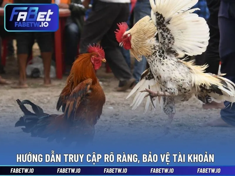 Hướng dẫn truy cập rõ ràng, ưu tiên bảo vệ tài khoản