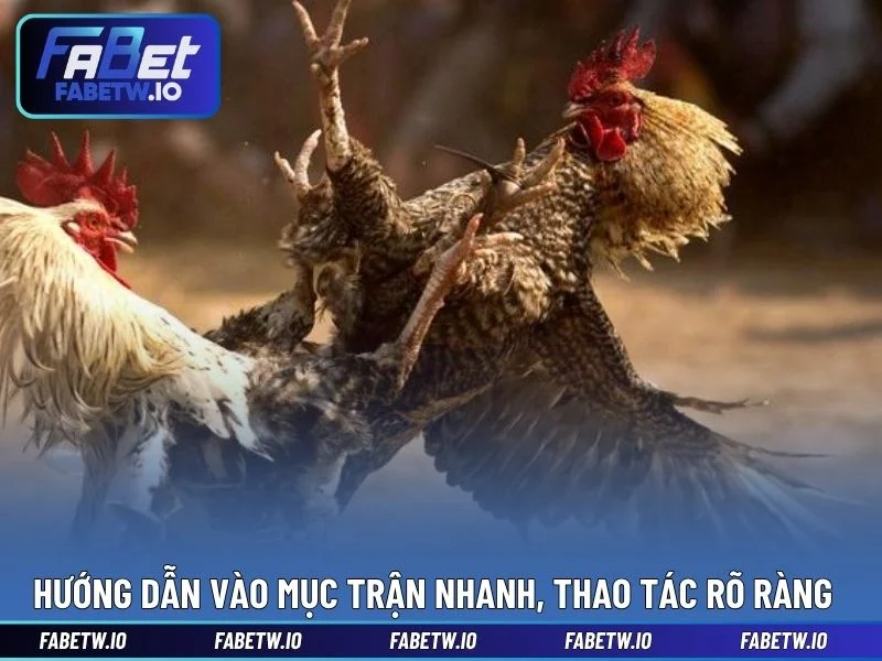 Hướng dẫn vào mục trận nhanh, thao tác rõ ràng dễ làm