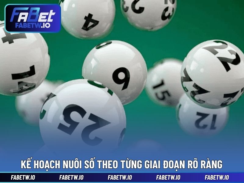 Kế hoạch nuôi số theo từng giai đoạn rõ ràng