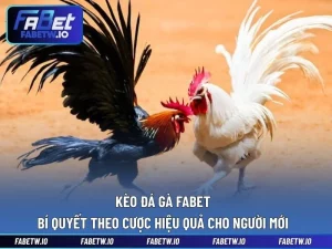 Kèo Đá Gà FABET - Bí Quyết Theo Cược Hiệu Quả Cho Người Mới