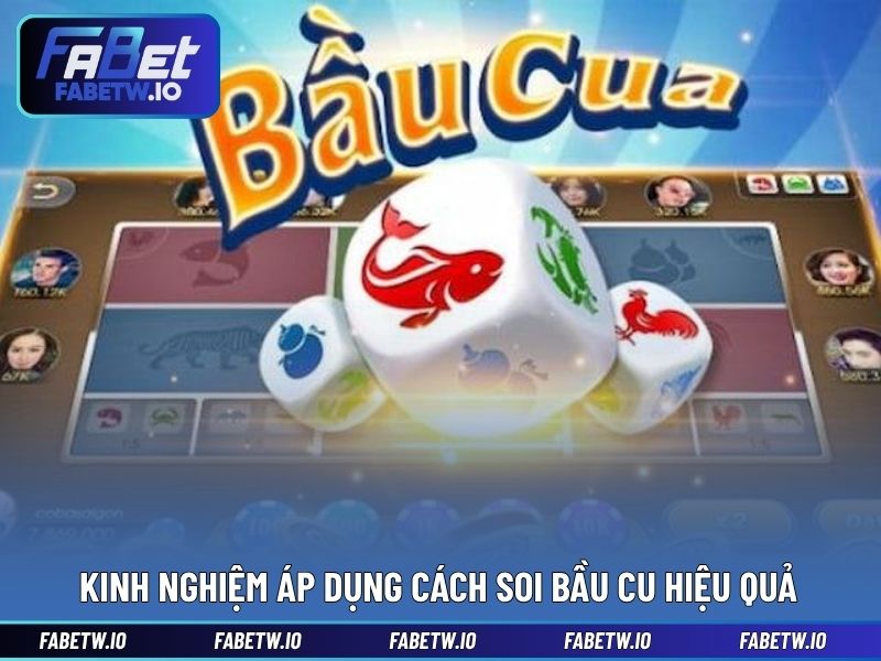 Kinh nghiệm áp dụng cách soi bầu cu hiệu quả