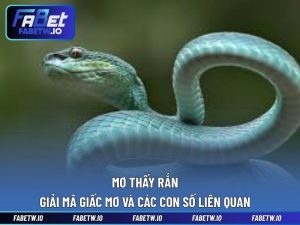 Mơ Thấy Rắn - Giải Mã Giấc Mơ Và Các Con Số Liên Quan