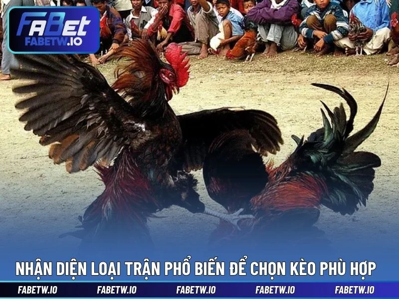 Nhận diện loại trận phổ biến để chọn kèo phù hợp