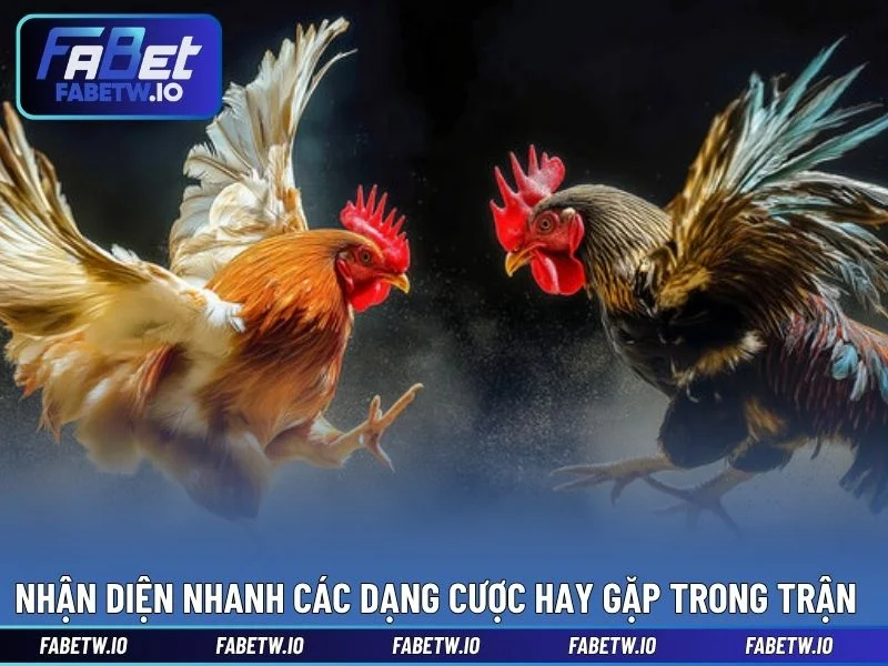 Nhận diện nhanh các dạng cược hay gặp trong trận