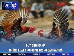 Quy Định Đá Gà - Những Luật Chơi Quan Trọng Cần Nắm Rõ