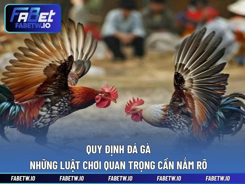 Quy Định Đá Gà - Những Luật Chơi Quan Trọng Cần Nắm Rõ