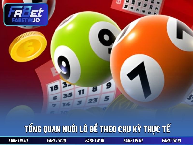 Tổng quan Nuôi lô đề theo chu kỳ thực tế
