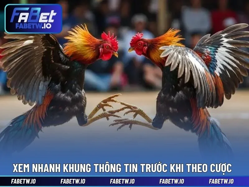 Xem nhanh khung thông tin trước khi theo cược